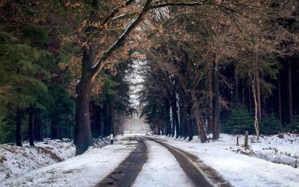 Водителям советуют быть осмотрительными на дорогах: в каких регионах 24 ноября будет сыпать снег