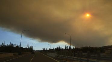 Кіпр лісові пожежі_12 / © Associated Press