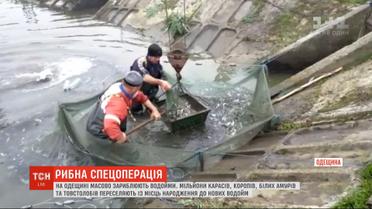 На радость рыбакам: в Одесской области начали массово пополнять водоемы рыбой