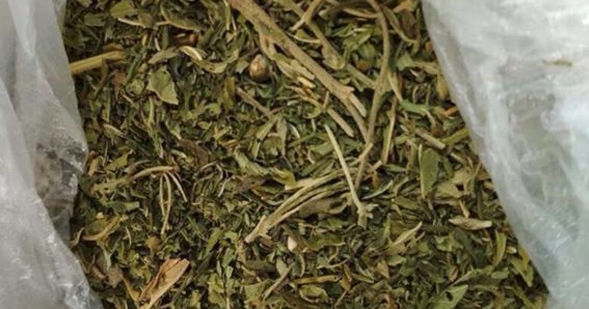 поліцейський наркота_2 / © Національна поліція України