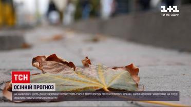Погода в Украине: неделя относительного тепла - следующие шесть дней будет сухо и почти везде тепло
