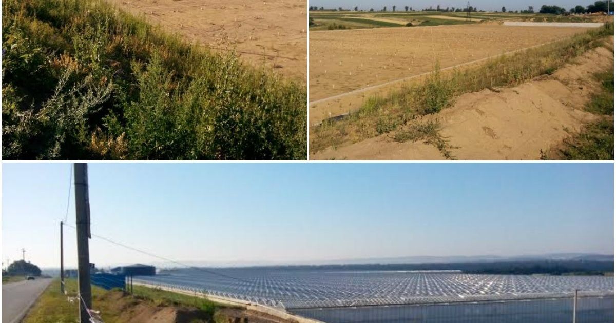 Родное село Дмитрия Фирташа / © "Бульвар Гордона"