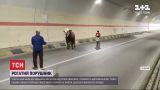 У Китаї перекрили тунель через бика, який втік від господарів
