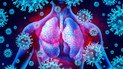 Коронавирус (COVID-19): последняя информация и ответы на популярные вопросы