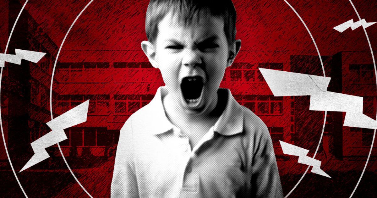 "Открыто 12 уголовных производств". В Киеве восьмилетний мальчик 1,5 года терроризирует всю школу