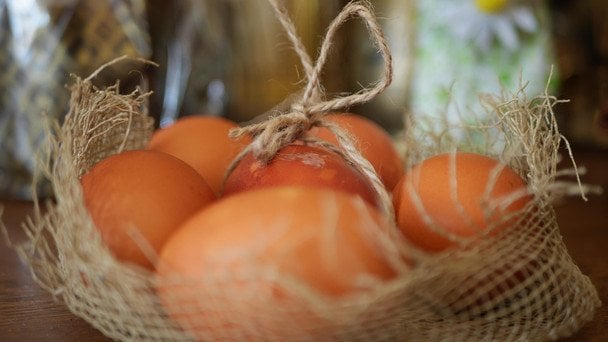 Провідна неділя 2026 / © Pixabay