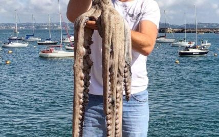 Рыбак поймал осьминога-гиганта с полутораметровыми щупальцами