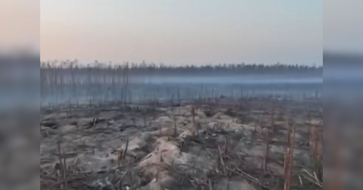 Видео — Как сейчас выглядит злополучный Серебрянский лес: видео ...