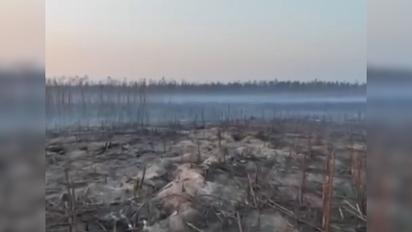 Який зараз має вигляд сумнозвісний Серебрянський ліс: відео