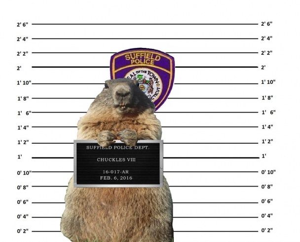  / © Suffield CT Police Department