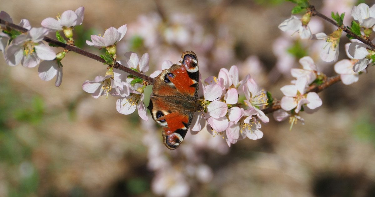 В Україні збережеться нестійка погода