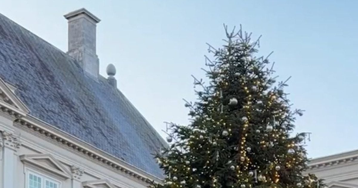 Елка в Нидерландах