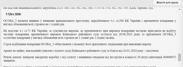 Вирок суду / © Єдиний державний реєстр судових рішень
