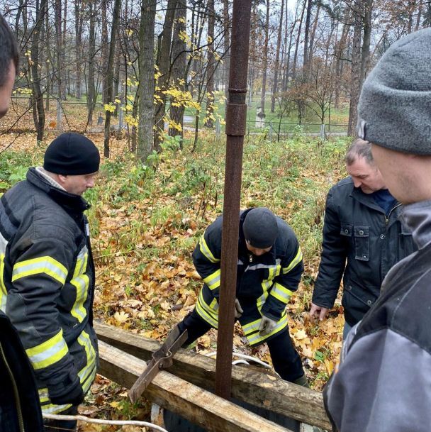  / © Анатолій Федорук