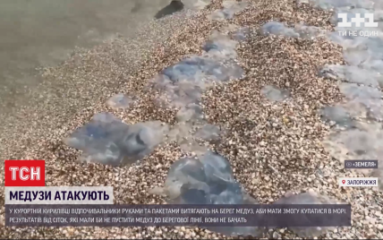 Медузы вновь заполонили пляжи Азовского моря: туристы собственноручно делают братские могилы корнеротов