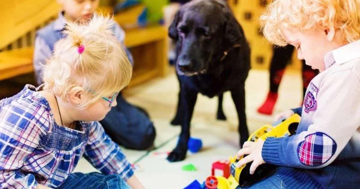 Фото с сайта https://www.ngo-rodyna.com