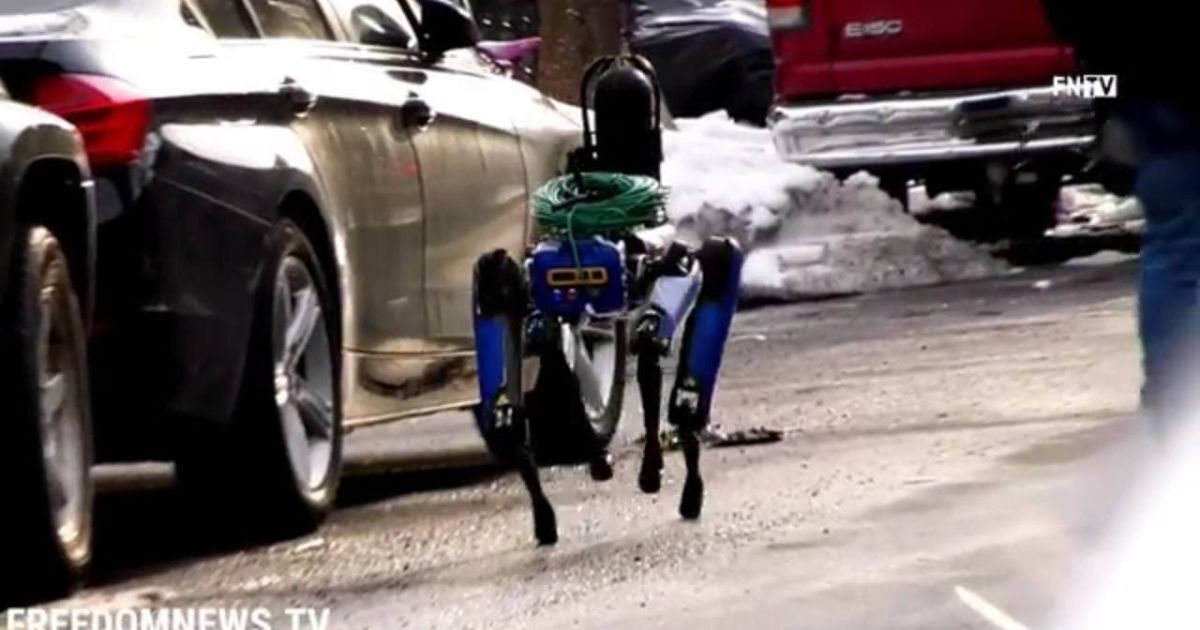 Искал в доме грабителей: в Нью-Йорке робопес от Boston Dynamics помогал копам раскрыть преступление (видео)