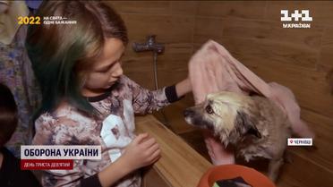 Особый приют для собак в Черновцах – дети в восторге