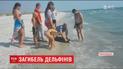 На пляжі Кінбурнської коси на Миколаївщині море викидає тіла загиблих дельфінів