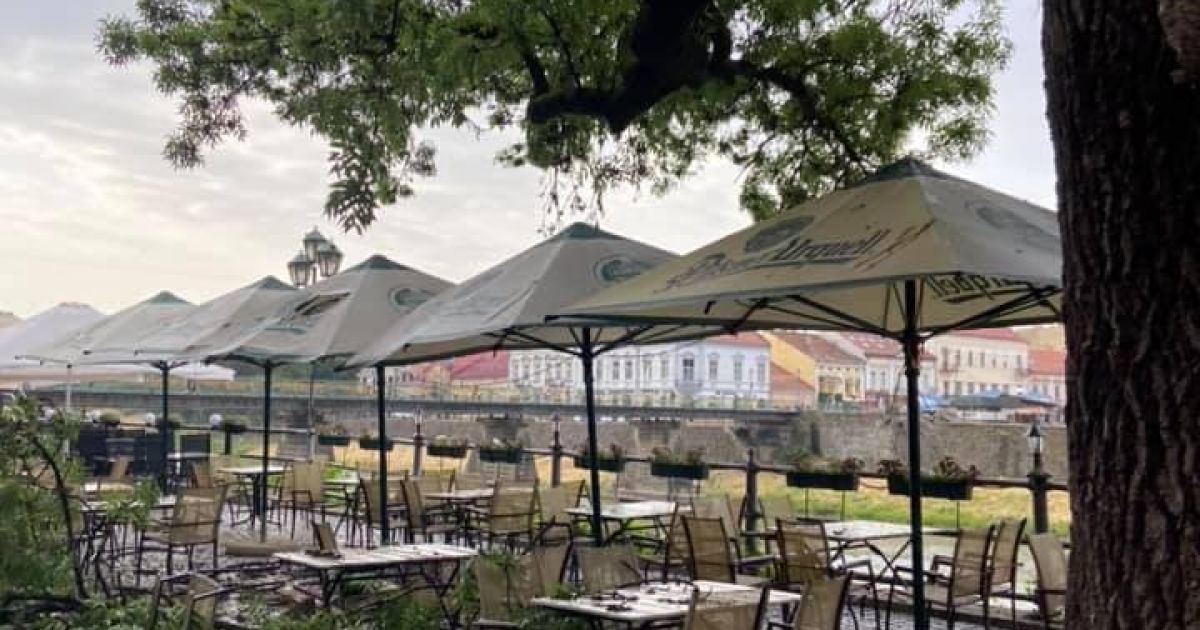 Гілка впала_1 / © Виталий Глагола