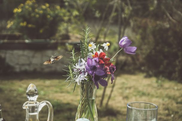 День ангела 13 липня — душевні привітання в прозі / © Unsplash