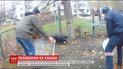 У Черкасах патрульні затримали кабана, який вільно розгулював біля школи