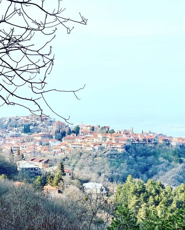  / © instagram.com/lidiyataran