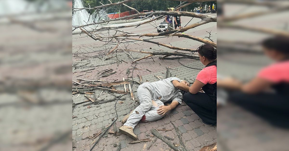 "Добре, що хоч живий залишився": у Дніпрі на чоловіка впало сухе дерево і зламало йому обидві ноги (фото)