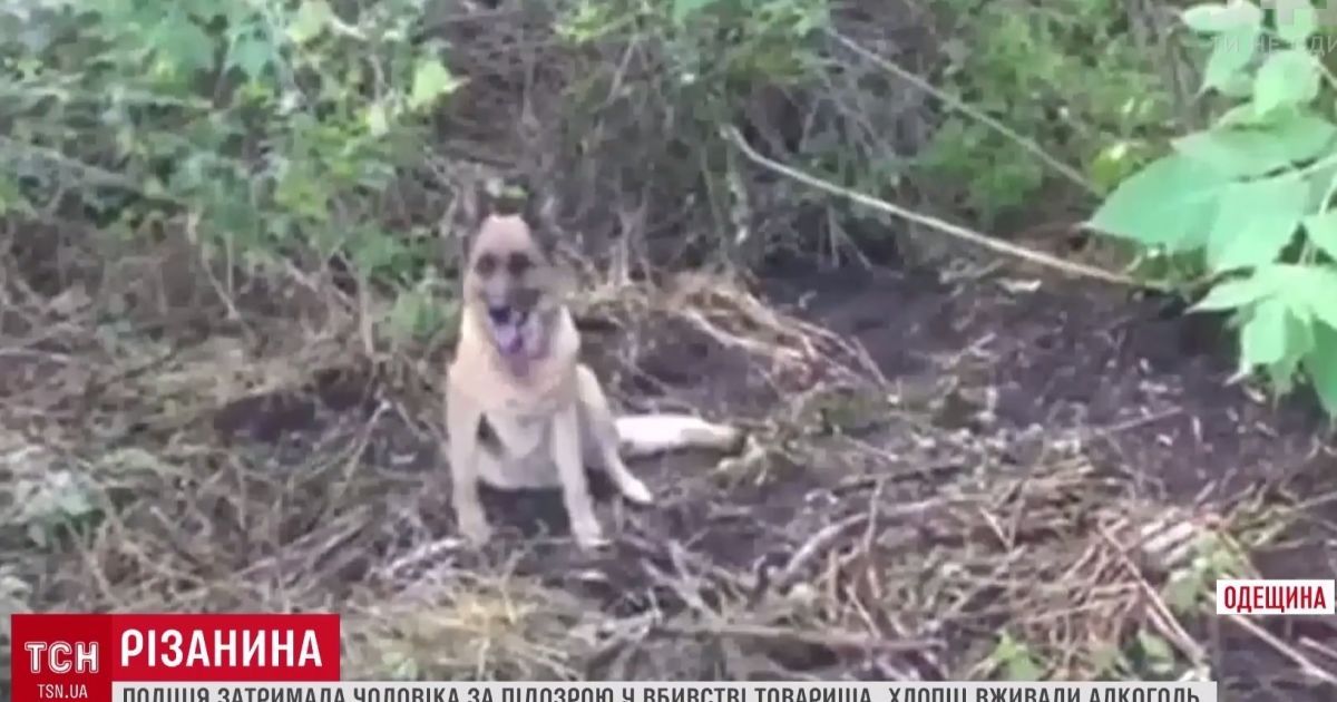 Службовий собака "розкрив" убивство юнака на Одещині