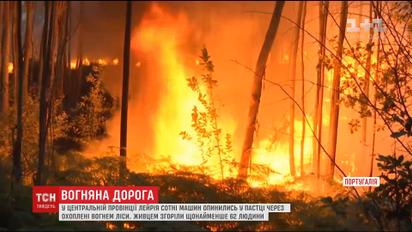 В Португалии сотни машин оказались в ловушке из-за горящего вокруг леса