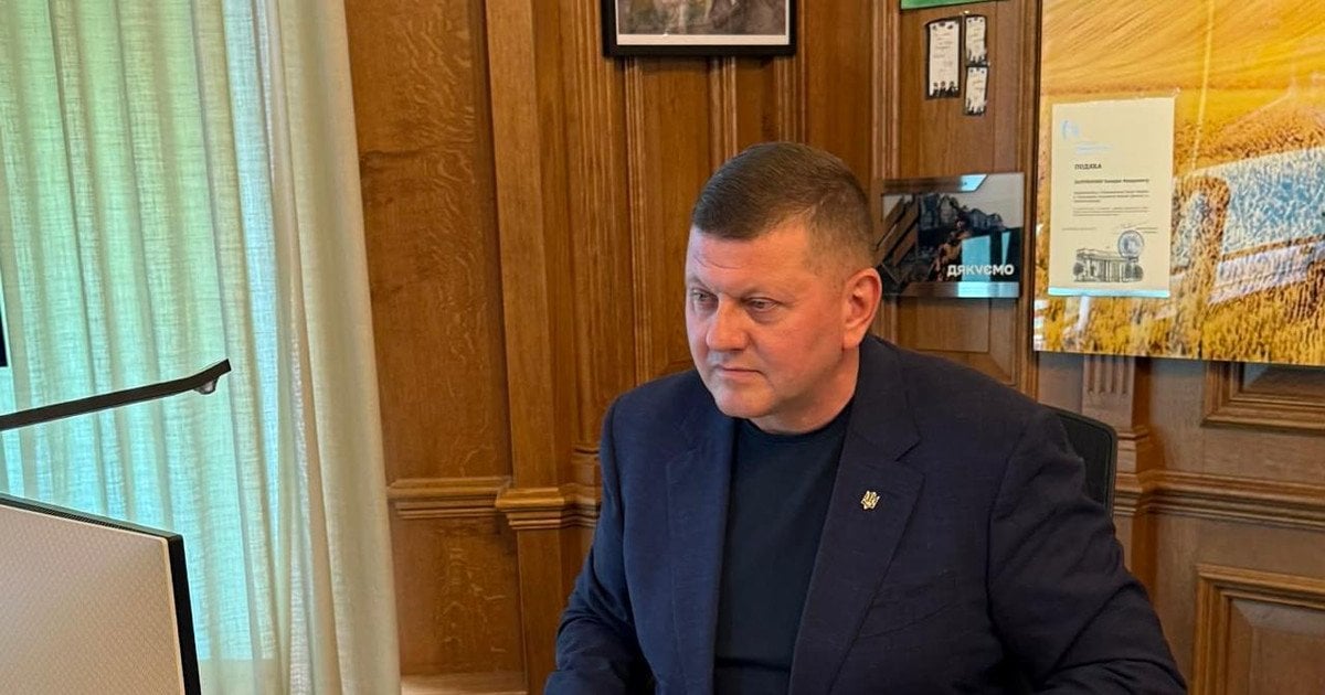 Залужний хоче заповісти “сину” повернути окуповані землі