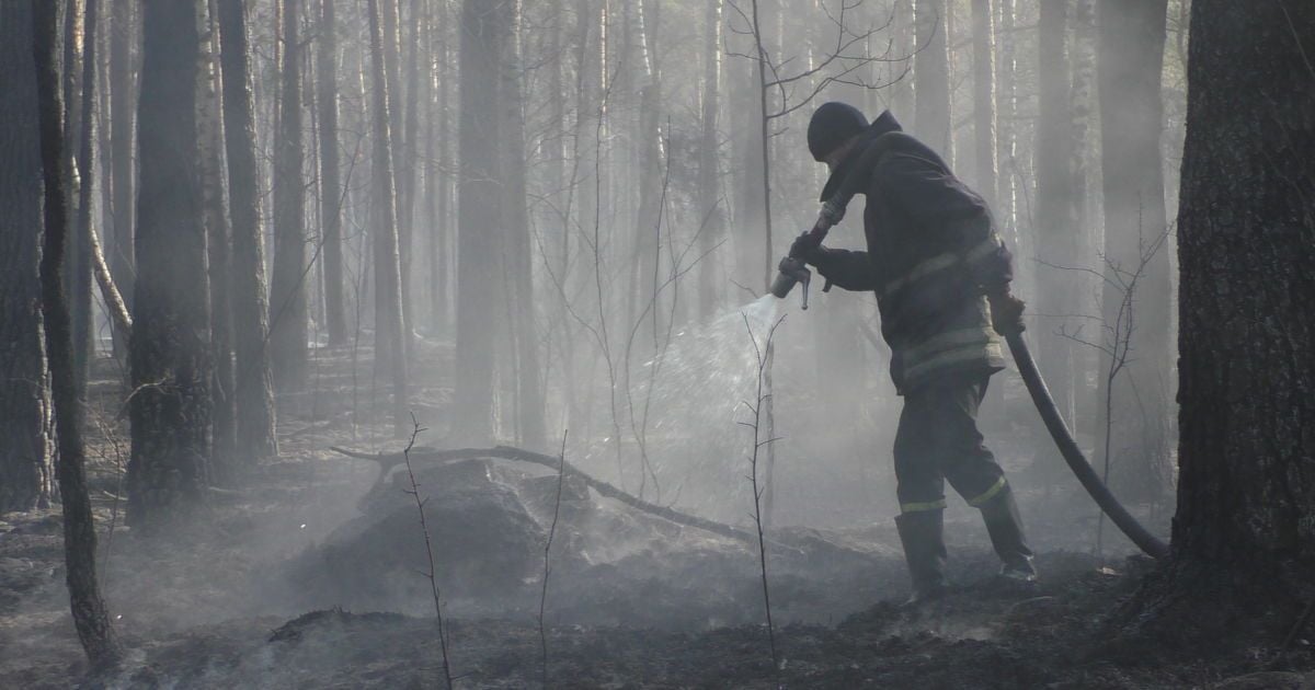 Рятувальники попередили про високу загрозу пожеж в Україні
