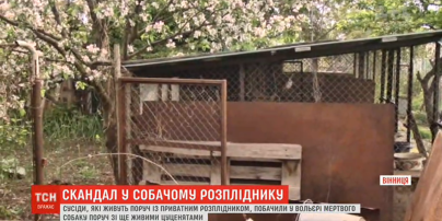 У Вінниці у розпліднику виявили тіла мертвих собак: сусіди скаржаться на сморід