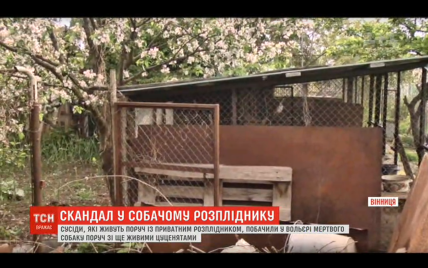 У Вінниці у розпліднику виявили тіла мертвих собак: сусіди скаржаться на сморід