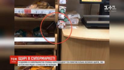 У столичному супермаркеті зафільмували великих щурів, які стрибали по полицях з хлібом