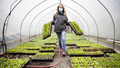 Робота у Польщі: умови, зарплата і складнощі працевлаштування