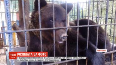 На базі відпочинку у Карпатах бурий ведмідь роздер жінці руку і переламав кістки