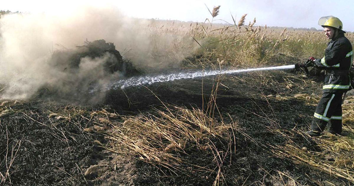 У Полтавській області рятувальники другу добу гасять пожежу на торфовищі