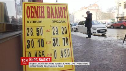 Здешевшала і продовжує падіння: чим спричинений рух української гривні