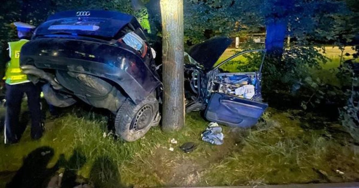 16-річний українець врізався у дерево, тікаючи від поліції.