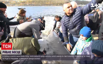 У Києві в Дніпро випустили 40 тисяч рибин