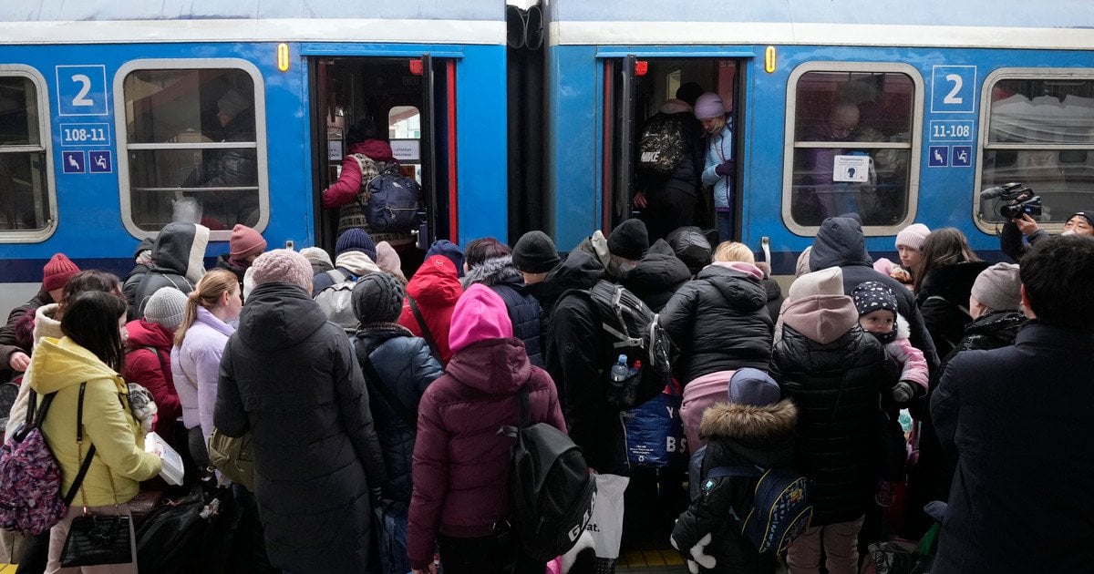 Українські біженці