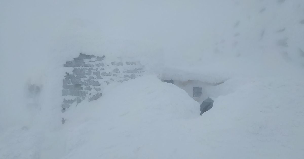 Все в снегу: Карпаты в плену зимней погоды (фото)