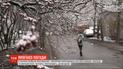 Синоптики попереджають про нічні морози, ожеледь та рвучкий вітер в Україні