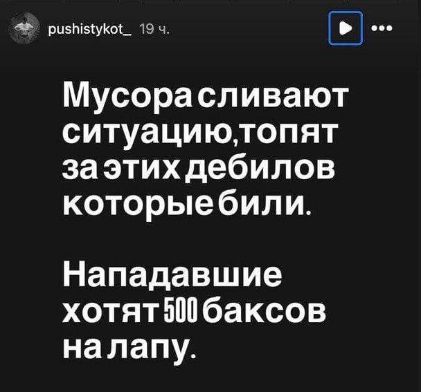  / © Instagram-сторінка pushistykot_