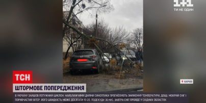 Непогода в Украине: пострадал ли кто-то из-за мощного ветра