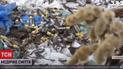 Фото: скріншот з відео