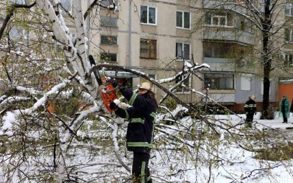 Наслідки негоди в Україні: 70 сіл залишаються без світла, а Крим завалило снігом
