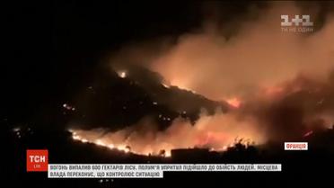 На острові Корсика спалахнули масштабні лісові пожежі