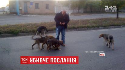 Неизвестные заложили гранату в почтовый ящик киевского догхантера Алексея Святогора